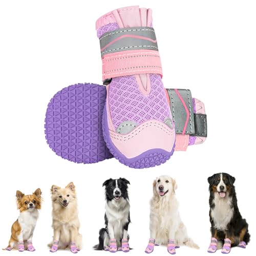 Eyein Hundeschuhe Pfotenschutz, 2 Stück atmungsaktiv Hundeschuhe mit Rutschfester Sohle und reflektierendem Klettverschluss für kleine, mittlere und große Hunde, Sport im Freien, Lila, Größe 6 Eyein Hundeschuhe Pfotenschutz, 2 Stück atmungsaktiv Hundeschuhe mit Rutschfester Sohle und reflektierendem Klettverschluss für kleine, mittlere und große Hunde, Sport im Freien, Lila, Größe 6 von Eyein