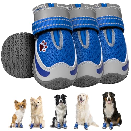 Eyein 4 Stück Hundeschuhe, Masche Atmungsaktiv Hundeschuhe Pfotenschutz mit Rutschfester Sohle für heiße Sommerböden, Reflektierende Hundeschuhe für nächtliche Spaziergänge im Freien, Blau, Größe 6 Eyein 4 Stück Hundeschuhe, Masche Atmungsaktiv Hundeschuhe Pfotenschutz mit Rutschfester Sohle für heiße Sommerböden, Reflektierende Hundeschuhe für nächtliche Spaziergänge im Freien, Blau, Größe 6 von Eyein