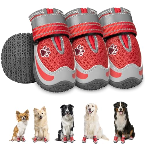 Eyein 4 Stück Hundeschuhe, Masche Atmungsaktiv Hundeschuhe Pfotenschutz mit Rutschfester Sohle für heiße Sommerböden, Reflektierende Hundeschuhe für nächtliche Spaziergänge im Freien, Rot, Größe 5 Eyein 4 Stück Hundeschuhe, Masche Atmungsaktiv Hundeschuhe Pfotenschutz mit Rutschfester Sohle für heiße Sommerböden, Reflektierende Hundeschuhe für nächtliche Spaziergänge im Freien, Rot, Größe 5 von Eyein