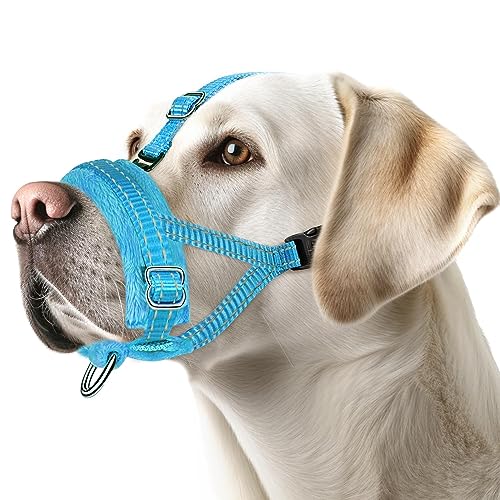 Eyein Maulkorb für Große Hunde, Verstellbarer Reflektierender Nylon Maulkorb für Hunde mit Verbindungsgurt, Hunde können hecheln und Trinken, Verhindert das Beißen, Bellen und Kauen (Blau, L) von Eyein