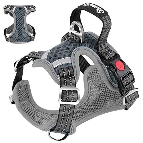 Eyein Hundegeschirr für Kleine Mittelgroße Hunde, Air Mesh Atmungsaktiv Brustgeschirr mit weichem Griff und Abschließbare Karabiner, ausbruchsicher reflektierend Hund Geschirr für Welpen, Grau, S Eyein Hundegeschirr für Kleine Mittelgroße Hunde, Air Mesh Atmungsaktiv Brustgeschirr mit weichem Griff und Abschließbare Karabiner, ausbruchsicher reflektierend Hund Geschirr für Welpen, Grau, S von Eyein