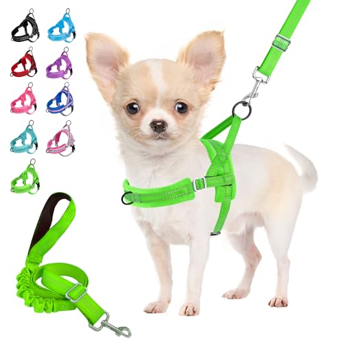 Eyein Hundegeschirr mit Leine für mittelgroße Kleine Hunde, Weich gepolsterter No-Pull Brustgeschirr mit 2 Leinenclips, Leichtgewicht Reflektierend Geschirr Hals und Brust verstellbar (Grün, S) von Eyein