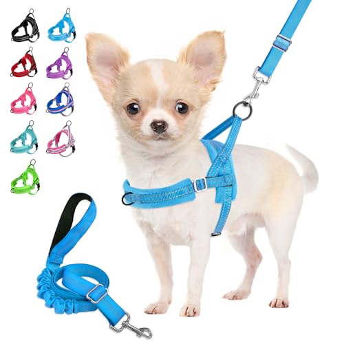Eyein Hundegeschirr mit Leine für mittelgroße Kleine Hunde, Weich gepolsterter No-Pull Brustgeschirr mit 2 Leinenclips, Leichtgewicht Reflektierend Geschirr Hals und Brust verstellbar (Hellblau, XS) von Eyein