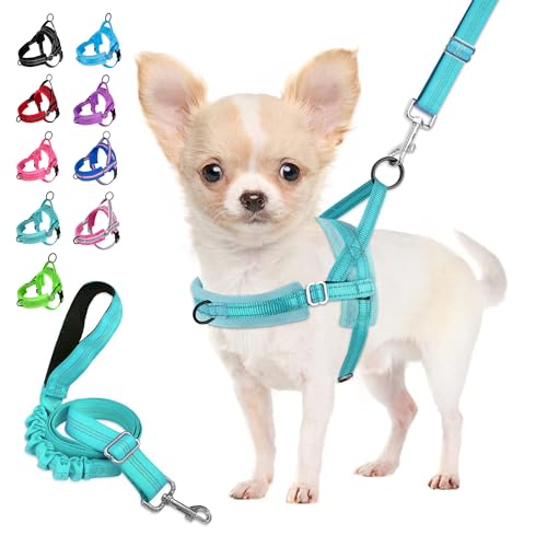 Eyein Hundegeschirr mit Leine für mittelgroße Kleine Hunde, Weich gepolsterter No-Pull Brustgeschirr mit 2 Leinenclips, Leichtgewicht Reflektierend Geschirr Hals und Brust verstellbar (Blaugrün,S) von Eyein