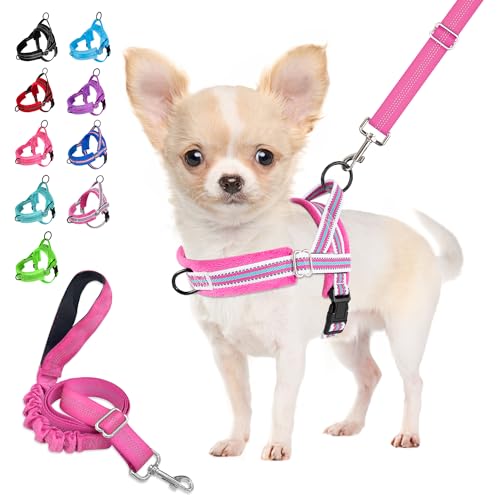Eyein Hundegeschirr mit Leine für mittelgroße Kleine Hunde, Weich gepolsterter No-Pull Brustgeschirr mit 2 Leinenclips, Leichtgewicht Reflektierend Geschirr Hals und Brust verstellbar (Rosenrot, S) von Eyein