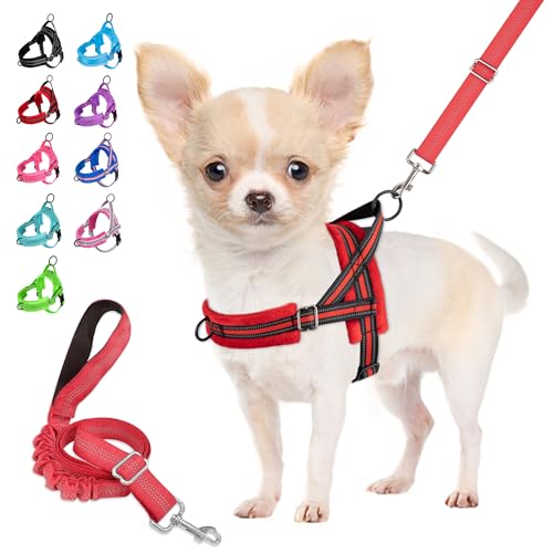 Eyein Hundegeschirr mit Leine für mittelgroße Kleine Hunde, Weich gepolsterter No-Pull Brustgeschirr mit 2 Leinenclips, Leichtgewicht Reflektierend Geschirr Hals und Brust verstellbar (Rot, XS) von Eyein