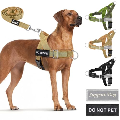 Eyein Hundegeschirr mit Leine für große mittelgroße Hunde, Weich gepolsterter Brustgeschirr mit 2 Leinenclips, Reflektierend & Leichtgewicht Anti Zug Geschirr für Spaziergänge Training, Braun, L Eyein Hundegeschirr mit Leine für große mittelgroße Hunde, Weich gepolsterter Brustgeschirr mit 2 Leinenclips, Reflektierend & Leichtgewicht Anti Zug Geschirr für Spaziergänge Training, Braun, L von Eyein