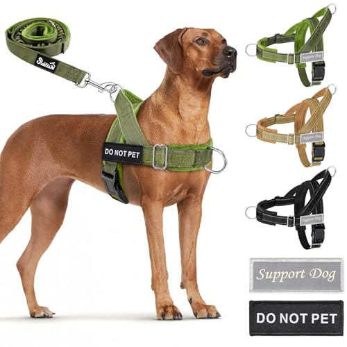 Eyein Hundegeschirr mit Leine für große mittelgroße Hunde, Weich gepolsterter Brustgeschirr mit 2 Leinenclips, Reflektierend & Leichtgewicht Anti Zug Geschirr für Spaziergänge Training, Grün, L Eyein Hundegeschirr mit Leine für große mittelgroße Hunde, Weich gepolsterter Brustgeschirr mit 2 Leinenclips, Reflektierend & Leichtgewicht Anti Zug Geschirr für Spaziergänge Training, Grün, L von Eyein
