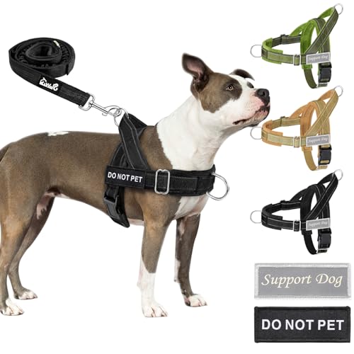 Eyein Hundegeschirr mit Leine für große mittelgroße Hunde, Weich gepolsterter Brustgeschirr mit 2 Leinenclips, Reflektierend & Leichtgewicht Anti Zug Geschirr für Spaziergänge Training, Schwarz, M Eyein Hundegeschirr mit Leine für große mittelgroße Hunde, Weich gepolsterter Brustgeschirr mit 2 Leinenclips, Reflektierend & Leichtgewicht Anti Zug Geschirr für Spaziergänge Training, Schwarz, M von Eyein