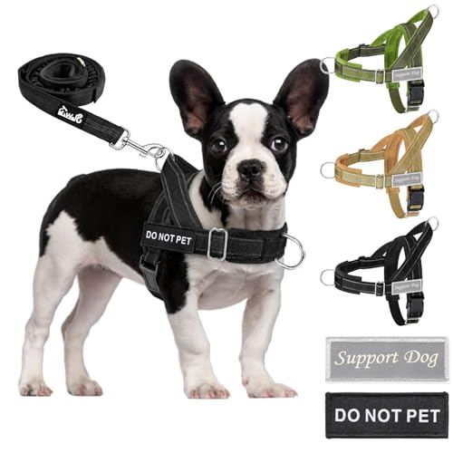 Eyein Hundegeschirr mit Leine für große mittelgroße Hunde, Weich gepolsterter Brustgeschirr mit 2 Leinenclips, Reflektierend & Leichtgewicht Anti Zug Geschirr für Spaziergänge Training, Schwarz, S Eyein Hundegeschirr mit Leine für große mittelgroße Hunde, Weich gepolsterter Brustgeschirr mit 2 Leinenclips, Reflektierend & Leichtgewicht Anti Zug Geschirr für Spaziergänge Training, Schwarz, S von Eyein