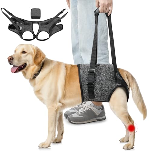 Eyein Tragehilfe für mittelgroße große Hunde, Tragetasche Hund mit verstellbarem Hinterbein-Stützgurt für ältere, verletzte oder behinderte Hunde bei schwachen Hinterbeinen nach Kreuzband-OP, M von Eyein