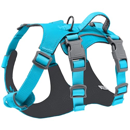Eyein Hundegeschirr für große mittelgroße Hunde, Leichtes und Atmungsaktiv No Pull Brustgeschirr mit Griff, reflektierend Nylon Geschirr mit Frontclip für Wandern und täglichen Gebrauch, Blau, M Eyein Hundegeschirr für große mittelgroße Hunde, Leichtes und Atmungsaktiv No Pull Brustgeschirr mit Griff, reflektierend Nylon Geschirr mit Frontclip für Wandern und täglichen Gebrauch, Blau, M von Eyein