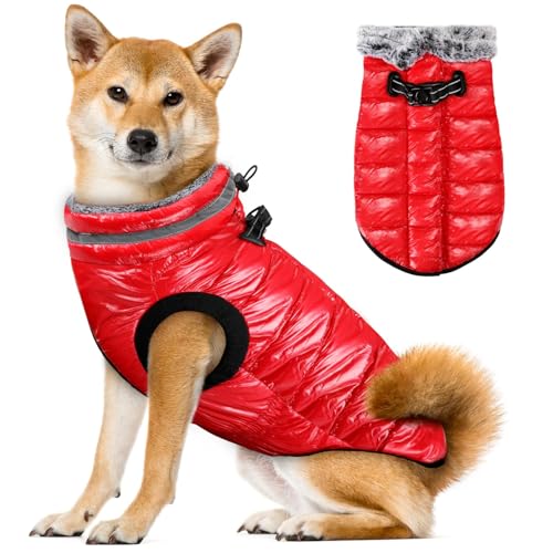 Eyein Wasserdichter Hundemantel mit Geschirr, Fleece Rollkragen Warme Hundewinterjacke mit doppeltem Reißverschluss, reflektierende Hundeschneejacke für kleine mittlere große Hunde, Rot, M Eyein Wasserdichter Hundemantel mit Geschirr, Fleece Rollkragen Warme Hundewinterjacke mit doppeltem Reißverschluss, reflektierende Hundeschneejacke für kleine mittlere große Hunde, Rot, M von Eyein
