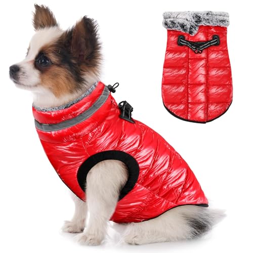 Eyein Wasserdichter Hundemantel mit Geschirr, Fleece Rollkragen Warme Hundewinterjacke mit doppeltem Reißverschluss, reflektierende Hundeschneejacke für kleine mittlere große Hunde, Rot, XS Eyein Wasserdichter Hundemantel mit Geschirr, Fleece Rollkragen Warme Hundewinterjacke mit doppeltem Reißverschluss, reflektierende Hundeschneejacke für kleine mittlere große Hunde, Rot, XS von Eyein