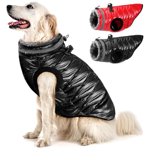 Eyein Wasserdichter Hundemantel mit Geschirr, Fleece Rollkragen Warme Hundewinterjacke mit doppeltem Reißverschluss, reflektierende Hundeschneejacke für kleine mittlere große Hunde, Schwarz, XL Eyein Wasserdichter Hundemantel mit Geschirr, Fleece Rollkragen Warme Hundewinterjacke mit doppeltem Reißverschluss, reflektierende Hundeschneejacke für kleine mittlere große Hunde, Schwarz, XL von Eyein