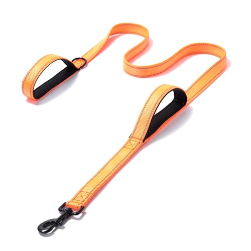 Eyeleaf Hundeleine, 1,5m, reflektierend und stark, mit doppeltem Griff, gepolstert, strapazierfähig, Nylon, Hundeleine für Hunde, groß, mittel, schwarz Eyeleaf Hundeleine, 1,5m, reflektierend und stark, mit doppeltem Griff, gepolstert, strapazierfähig, Nylon, Hundeleine für Hunde, groß, mittel, schwarz von Eyeleaf