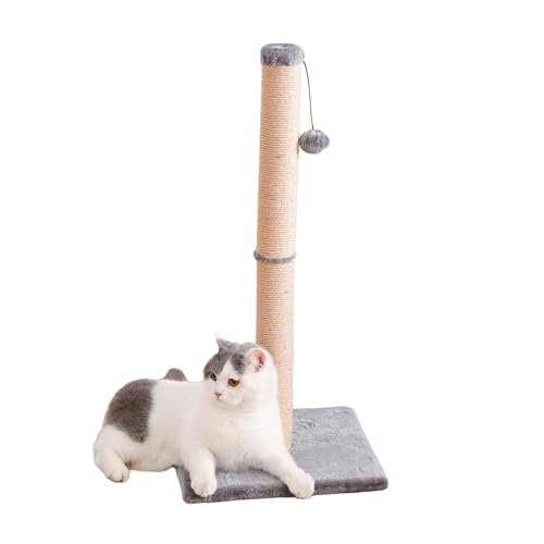 Eyeleaf Kratzbaum für erwachsene Katzen, 75 cm, Stange aus natürlichem Sisalseil mit Kugel, weicher Plüsch Eyeleaf Kratzbaum für erwachsene Katzen, 75 cm, Stange aus natürlichem Sisalseil mit Kugel, weicher Plüsch von Eyeleaf