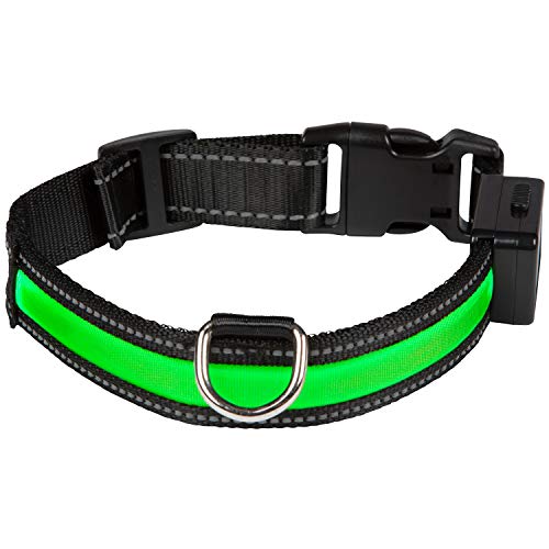 EYENIMAL NGCOLLUM021 USB Light Collar Green L, L, Green, 86 g von Eyenimal