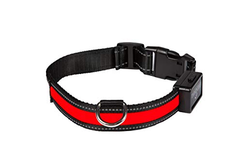 EYENIMAL NGCOLLUM017 USB Light Collar Red M, M, red, 76 g von Eyenimal