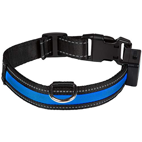 EYENIMAL NGCOLLUM023 USB Light Collar Blue M, M, Blue, 76 g von Eyenimal