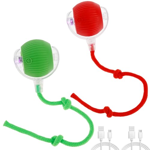 Eyoulife 2 Stück Interaktives Hundespielzeug Ball 4 Spaß Intelligent Modi Interaktives Katzenspielzeug Elektrisch Ball mit 2 USB Ladekabel Robust Bissfest für Katzen Hunde (Rot + Grün) von Eyoulife