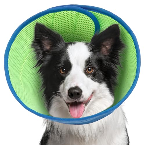 Halskrause Hund Weich Atmungsaktiv Verstellbar Hundekragen Leckschutz Hund Innendurchmesser 8,5/13cm zur Postoperativen Wundheilung Nagelpflege (Blau, M) von Eyoulife