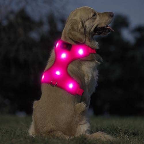 Ezierfy Hundehalsband Leuchtend - Leuchthalsband Hund Aufladbar LED Hundehalsband Wasserdichtes Einstellbare leuchtende Hundehalsbandlichter für Hunde beim nächtlichen Spaziergang (Rosa, Klein) von Ezierfy