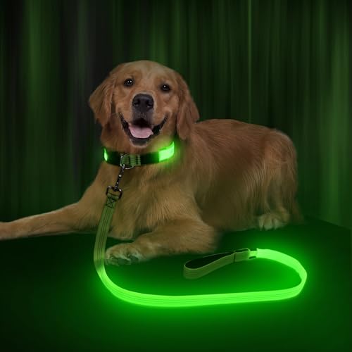 Ezierfy Leuchtende Hundeleine, reflektierend, LED, wiederaufladbar, blinkend, für Welpen, hohe Sichtbarkeit, bis zu 500 m, Sicherheitslichter für nächtliche Spaziergänge (reflektierend, Grün, 120 cm) Ezierfy Leuchtende Hundeleine, reflektierend, LED, wiederaufladbar, blinkend, für Welpen, hohe Sichtbarkeit, bis zu 500 m, Sicherheitslichter für nächtliche Spaziergänge (reflektierend, Grün, 120 cm) von Ezierfy