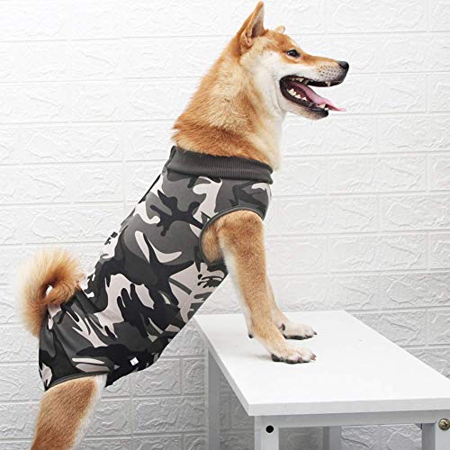 Ezoon Professioneller Hunde-OP-Anzug, weich, elastisch, medizinische medizinische Kleidung, Schutz für Hunde und Katzen, nach Operationen, Grün, XXL von Ezoon