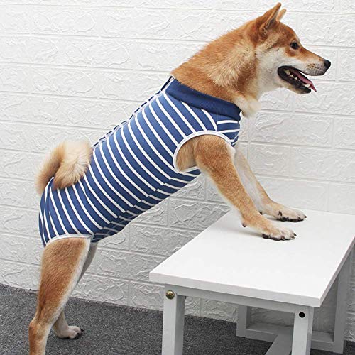 Ezoon Professioneller Hunde-OP-Anzug, weich, elastisch, medizinische medizinische Kleidung, Schutz für Hunde und Katzen, nach Operationen, Blau, L von Ezoon
