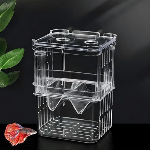 Zuchtbox Aquarium Acryl Multifunktionale Fisch Garnelen Isolation Box mit Saugnapf für Babyfische Garnelen Betta Clownfisch Große Isolierung Zuchtbox Aquarium Acryl Multifunktionale Fisch Garnelen Isolation Box mit Saugnapf für Babyfische Garnelen Betta Clownfisch Große Isolierung von Ezranova