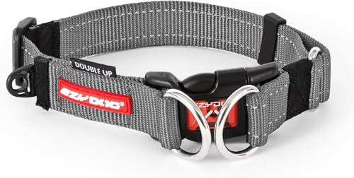 EZYDOG Double Up Hundehalsband für Kleine, Mittelgroße und Große Hunde | Reflektierend, Höchster Komfort, Weiches Neopren-Material, Starkes Nylon-Gurtband (Groß, Grau) von EzyDog