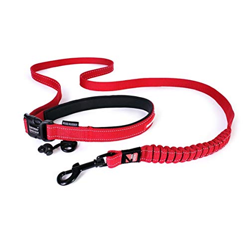 EzyDog Jogging Hundeleine für Mittelgroße und Große Hunde - Joggingleine Road Runner 210cm - Leine zum Joggen mit Hund, Reflektierende, Elastische mit Bungee Ruckdämpfer (25mm, Rot) von EzyDog