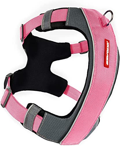EzyDog No-Pull Hundegeschirr für Kleine Hunde, X-Link Anti Zug Geschirr Hund Verstellbar, Welpengeschirr Einstellbar, Reflektierendes, Größenverstellbar, Brustgeschirr Gepolstert (S, Rosa) von EzyDog