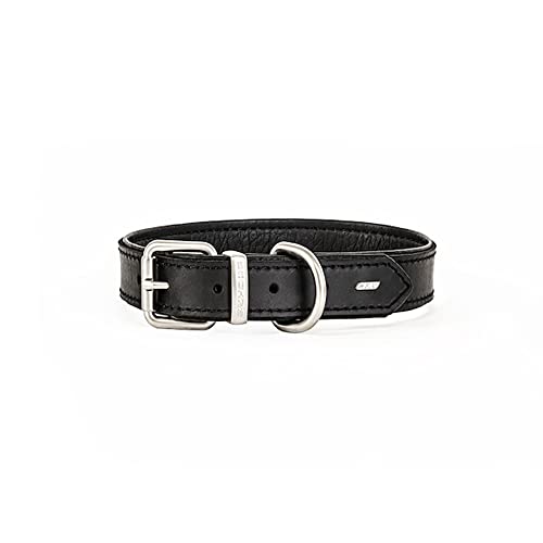 EzyDog Oxford Hundehalsband Leder- Premium Lederhalsband - Hunde Halsband für Kleine und Große Hunde, Naturleder, Verstellbares, Gepolstertes (S, Schwarz) von EzyDog