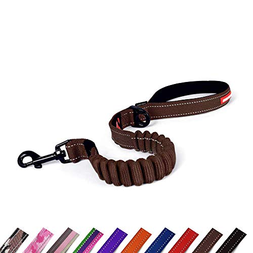 EzyDog Zero Shock Leine, Stoßdämpfende Hundeleine, 25"/64 cm, Schokolade EzyDog Zero Shock Leine, Stoßdämpfende Hundeleine, 25"/64 cm, Schokolade von EzyDog