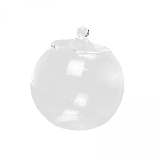 F Fityle 2X Glasterrarium, Mikro Landschaftsflasche, Versiegeltes Desktop DIY Vorratsglas, Pflanzgefäß, Glaspflanzenbehälter für Süßigkeiten, Tee, Schlafzimmer von F Fityle
