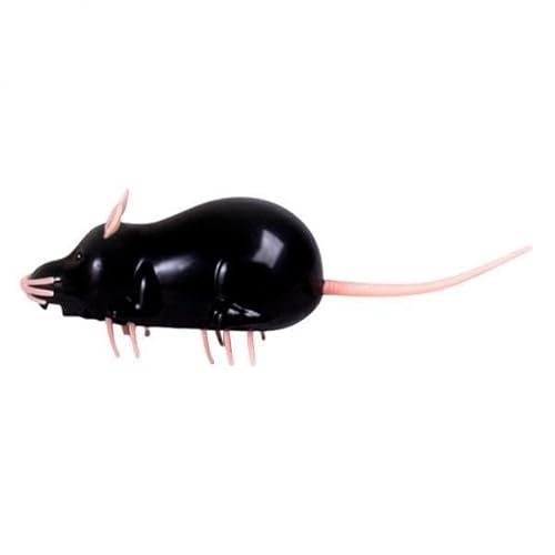 F Fityle 2X Katze Spielzeug Laufen Lustige Interaktive Spielen Elektronische Ratte Maus für F Fityle 2X Katze Spielzeug Laufen Lustige Interaktive Spielen Elektronische Ratte Maus für von F Fityle