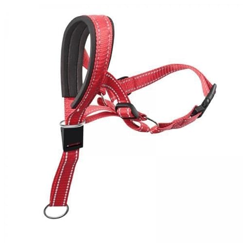 F Fityle 2X Maulkorb Aus Nylon für Hunde, Trinkbar, mit Haken, Verstellbarer Maulkorb für Aggressive Hunde, Welpen, Kleine, Mittelgroße, Große Hunde, Die Tiere F Fityle 2X Maulkorb Aus Nylon für Hunde, Trinkbar, mit Haken, Verstellbarer Maulkorb für Aggressive Hunde, Welpen, Kleine, Mittelgroße, Große Hunde, Die Tiere von F Fityle