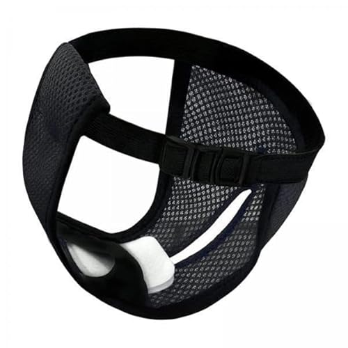 F Fityle 2X Physiologische Hose für Hunde, Hygienehöschen, Slips, Shorts, Hose, Unterwäsche, Unterhose, Bauchband, L SCHWARZ F Fityle 2X Physiologische Hose für Hunde, Hygienehöschen, Slips, Shorts, Hose, Unterwäsche, Unterhose, Bauchband, L SCHWARZ von F Fityle
