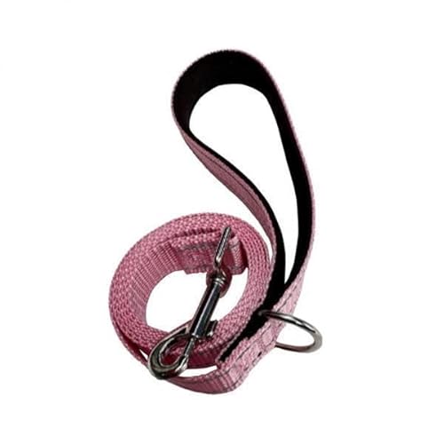 F Fityle 2X Reflektierende Hundeleine, Hundetrainingsleine, Nylon Geflochten, Stark, Langlebig, Bequem, für Große, Mittelgroße Und Kleine Hunde, Zum F Fityle 2X Reflektierende Hundeleine, Hundetrainingsleine, Nylon Geflochten, Stark, Langlebig, Bequem, für Große, Mittelgroße Und Kleine Hunde, Zum von F Fityle