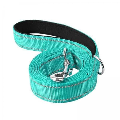 F Fityle 2X Reflektierende Hundeleine, Hundetrainingsleine, Nylon Geflochten, Stark, Langlebig, Bequem, für Große, Mittelgroße Und Kleine Hunde, Zum F Fityle 2X Reflektierende Hundeleine, Hundetrainingsleine, Nylon Geflochten, Stark, Langlebig, Bequem, für Große, Mittelgroße Und Kleine Hunde, Zum von F Fityle