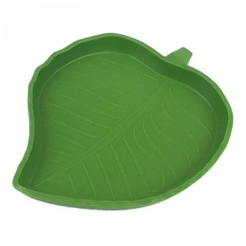 F Fityle 2X Reptilien Wasser Und Futternapf, Kleine Dekorationen, Wassernapf, Futternapf für Bartschlange, Hamster, F Fityle 2X Reptilien Wasser Und Futternapf, Kleine Dekorationen, Wassernapf, Futternapf für Bartschlange, Hamster, von F Fityle