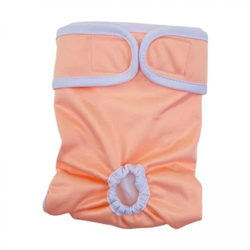 F Fityle 2X Windeln für Hündinnen Und Mädchen, Welpen, Bequem, Wasserdicht, Auslaufsicher, Verstellbar, Höschen für Hunde, Katzenkleidung F Fityle 2X Windeln für Hündinnen Und Mädchen, Welpen, Bequem, Wasserdicht, Auslaufsicher, Verstellbar, Höschen für Hunde, Katzenkleidung von F Fityle