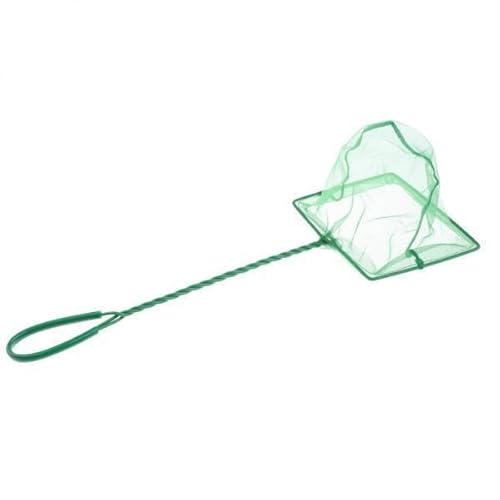 F Fityle 2xAquarium Fisch Tank Fisch Net Coldwater Marine Netting 6 Zoll, Grün, 2 STK. von F Fityle
