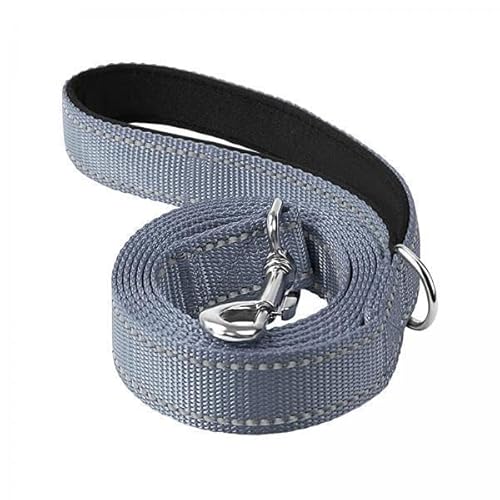 F Fityle 3X Nylon Hundeleine, Nachtreflektierend, Haustierleine, DREI Größen für Große, Mittelgroße Und Kleine Hunde, Katzen, für Das Hunde Walking Training, F Fityle 3X Nylon Hundeleine, Nachtreflektierend, Haustierleine, DREI Größen für Große, Mittelgroße Und Kleine Hunde, Katzen, für Das Hunde Walking Training, von F Fityle