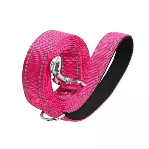 F Fityle 3X Nylon Hundeleine, Nachtreflektierend, Haustierleine, DREI Größen für Große, Mittelgroße Und Kleine Hunde, Katzen, für Das Hunde Walking Training, von F Fityle