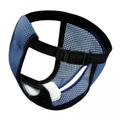F Fityle 3X Physiologische Hose für Hunde, Hygienehöschen, Slips, Shorts, Hose, Unterwäsche, Unterhose, Bauchband, S BLAU F Fityle 3X Physiologische Hose für Hunde, Hygienehöschen, Slips, Shorts, Hose, Unterwäsche, Unterhose, Bauchband, S BLAU von F Fityle