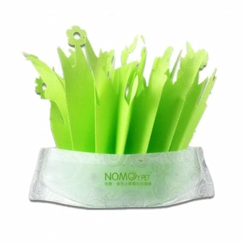 F Fityle 3xEnvironmental Terrarium Luftbefeuchter Pet Frösche Eidechsen Schlangen Zeigen, 3 STK. von F Fityle