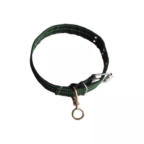 F Fityle 4X Hundehalsband mit Metallschnalle, Breit, Langlebig, Passend für Alle Hunderassen, Hundetraining, Hundehalsband Zum Spazierengehen, Arbeiten, F Fityle 4X Hundehalsband mit Metallschnalle, Breit, Langlebig, Passend für Alle Hunderassen, Hundetraining, Hundehalsband Zum Spazierengehen, Arbeiten, von F Fityle